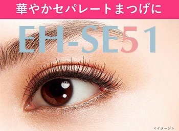 EH-SE51の仕上がりイメージ